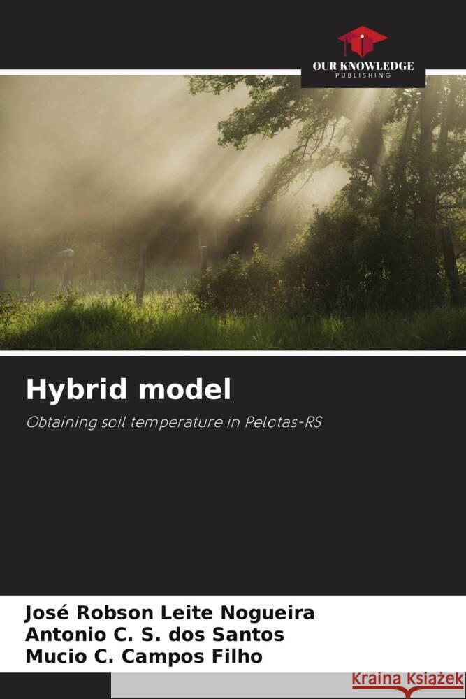 Hybrid model Leite Nogueira, José Robson, S. dos Santos, Antonio C., Campos Filho, Mucio C. 9786209331589 Our Knowledge Publishing - książka