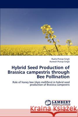 Hybrid Seed Production of Brassica campestris through Bee Pollination Singh Rudra Pratap, Singh Ramesh Pratap 9783659311376 LAP Lambert Academic Publishing - książka