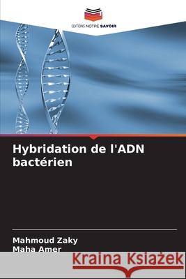 Hybridation de l'ADN bact?rien Mahmoud Zaky Maha Amer 9786207535989 Editions Notre Savoir - książka