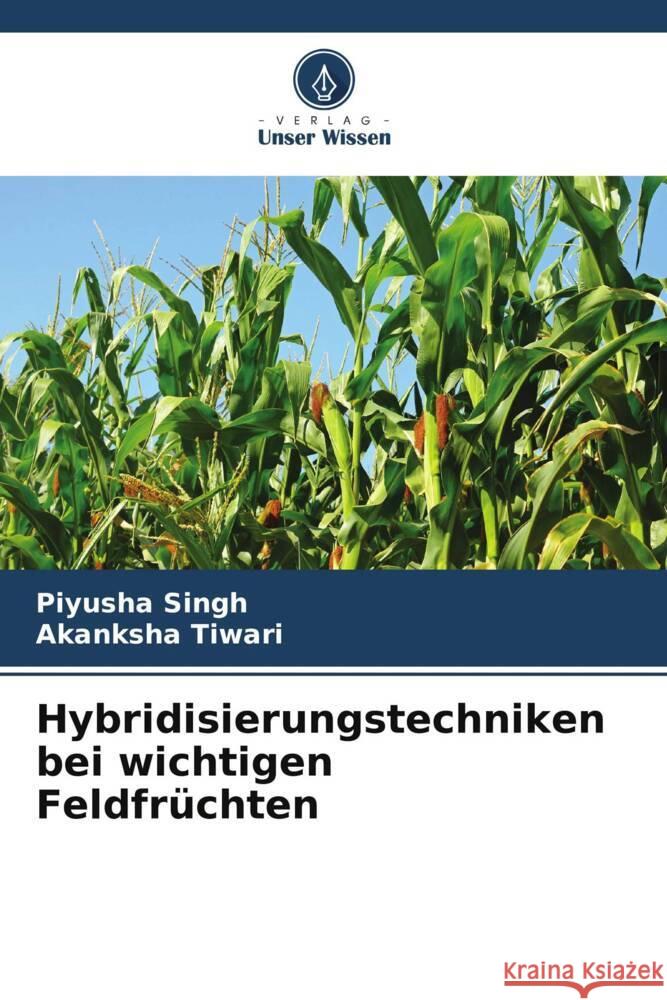 Hybridisierungstechniken bei wichtigen Feldfr?chten Piyusha Singh Akanksha Tiwari 9786206615552 Verlag Unser Wissen - książka