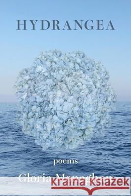 Hydrangea Gloria Monaghan 9781952326202 Kelsay Books - książka