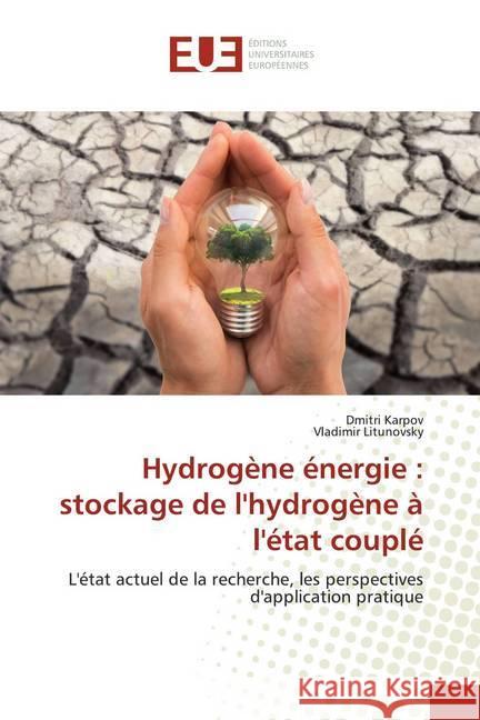Hydrogène énergie : stockage de l'hydrogène à l'état couplé : L'état actuel de la recherche, les perspectives d'application pratique Karpov, Dmitri; Litunovsky, Vladimir 9786139532940 Éditions universitaires européennes - książka