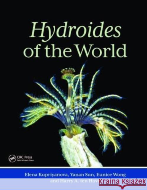 Hydroides of the World Elena Kupriyanova Yanan Sun Eunice Wong 9781032436692 CRC Press - książka