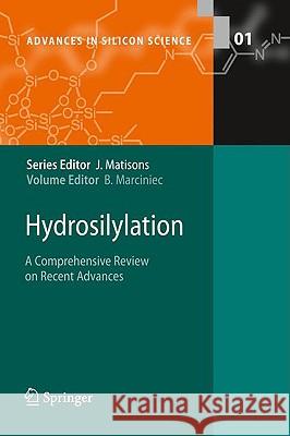 Hydrosilylation: A Comprehensive Review on Recent Advances Marciniec, Bogdan 9781402081712 Springer - książka