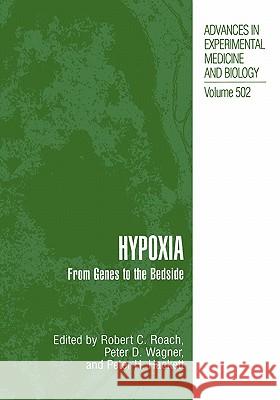 Hypoxia: From Genes to the Bedside Roach, Robert C. 9781441933744 Not Avail - książka