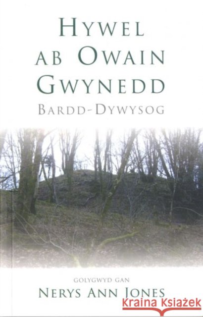 Hywel ab Owain Gwynedd : Bardd-Dywysog  9780708321621 University of Wales Press - książka
