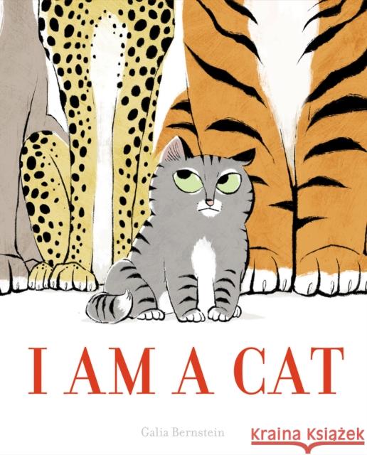 I Am a Cat Galia Bernstein 9781419726439 Abrams - książka