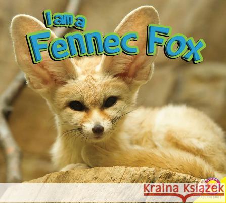 I Am a Fennec Fox Jared Siemens 9781489653758 Av2 by Weigl - książka