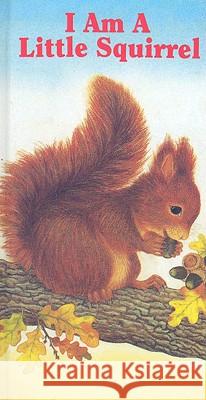 I Am a Little Squirrel Amrei Fechner Amrei Fechner 9780718829025 Lutterworth Press - książka