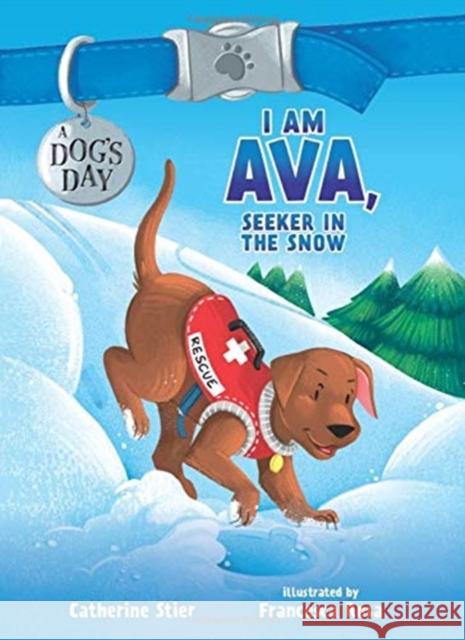 I AM AVA SEEKER IN THE SNOW CATHERINE STIER 9780807516645 GLOBAL PUBLISHER SERVICES - książka