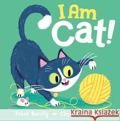 I Am Cat! Peter Bently Chris Chatterton 9780593520864 Penguin Workshop - książka