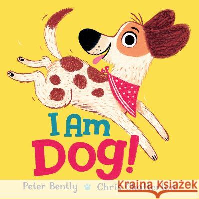 I Am Dog! Peter Bently Chris Chatterton 9780593520871 Penguin Workshop - książka