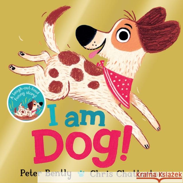 I am Dog Bently, Peter 9781529012767 Pan Macmillan - książka