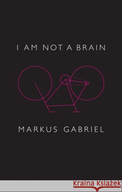 I am Not a Brain: Philosophy of Mind for the 21st Century Markus Gabriel 9781509514755 John Wiley and Sons Ltd - książka