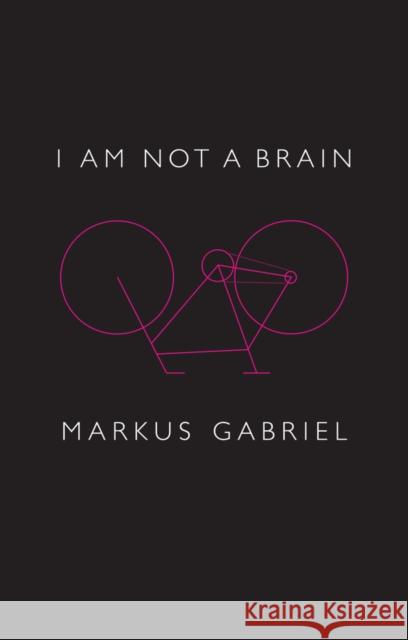 I Am Not a Brain: Philosophy of Mind for the 21st Century Gabriel, Markus 9781509538720 Polity Press - książka