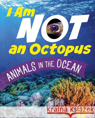 I Am Not an Octopus: Animals in the Ocean Mari Bolte 9781666343472 Pebble Books - książka