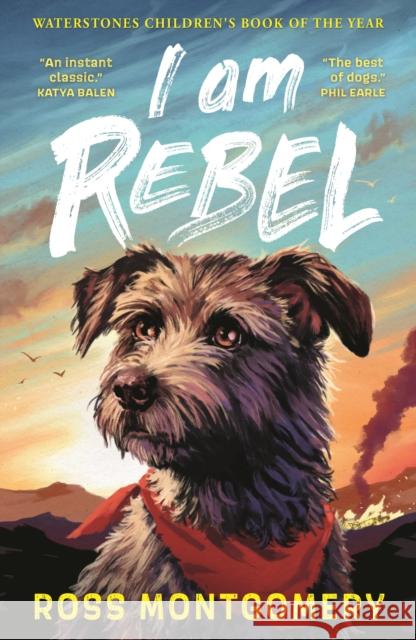 I Am Rebel: The award-winning must-read animal adventure everyone’s talking about – a heartfelt tale of one dog’s mission to save his human for ages 9, 10, 11, 12; Waterstones Children’s Book of the Y Ross Montgomery 9781529502909 Walker Books Ltd - książka