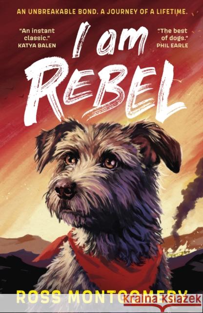 I Am Rebel: Waterstones Children's Book of the Year 2024 Ross Montgomery 9781529502909 Walker Books Ltd - książka