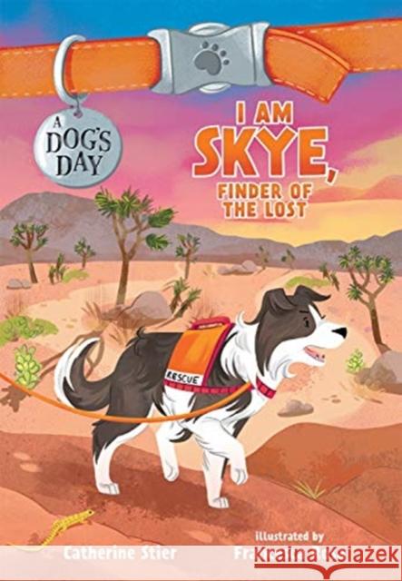 I AM SKYE FINDER OF THE LOST CATHERINE STIER 9780807516775 GLOBAL PUBLISHER SERVICES - książka