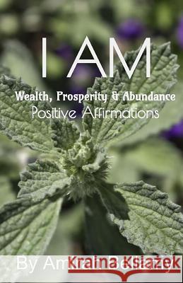 I AM Wealth, Prosperity & Abundance Positive Affirmations Bellamy, Amirah 9781548510206 Createspace Independent Publishing Platform - książka