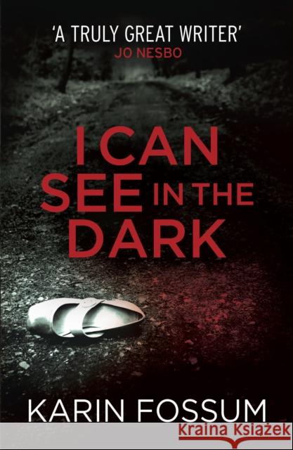 I Can See in the Dark Karin Fossum 9780099571834 VINTAGE - książka
