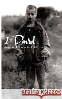 I David: Anatomy of an Adopted Child Lamb, David J. 9781466938168 Trafford Publishing - książka