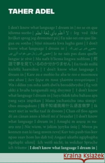 I don't know what language I dream in Taher Adel 9781913958404 Burning Eye Books - książka