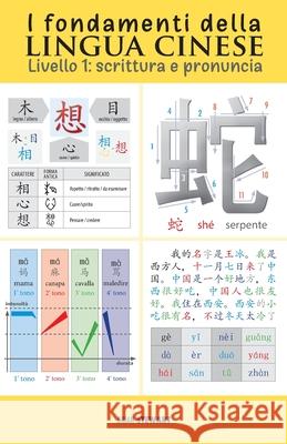 I fondamenti della lingua cinese: scrittura e pronuncia Brian Stewart 9781788945912 Discovery Publisher - książka