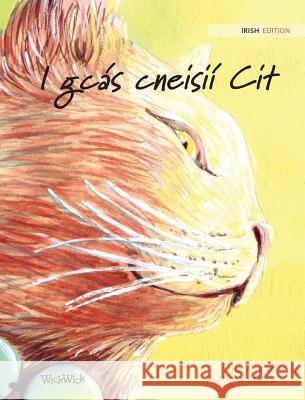 I gcás cneisií Cit: Irish Edition of The Healer Cat Pere, Tuula 9789523571457 Wickwick Ltd - książka