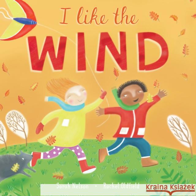 I Like the Wind Sarah Nelson Rachel Oldfield 9781646860944 Barefoot Books - książka