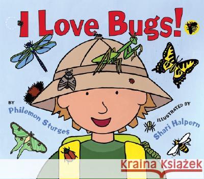 I Love Bugs! Philemon Sturges Shari Halpern 9780060561680 HarperCollins Publishers - książka