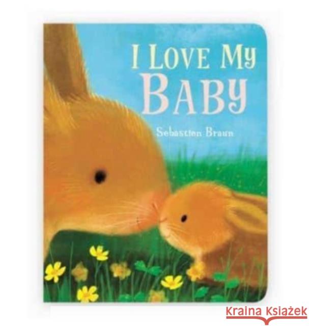 I Love My Baby Sebastien Braun 9781910716977 Boxer Books Limited - książka