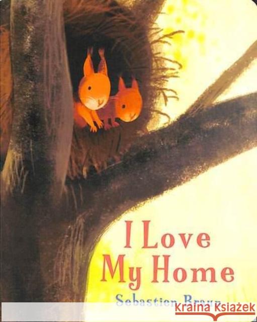 I Love My Home Sebastien Braun 9781914912030 Boxer Books Limited - książka