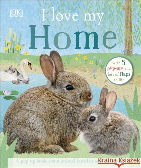 I Love My Home: A pop-up book about animal families and their homes DK 9780241409619 Dorling Kindersley Ltd - książka