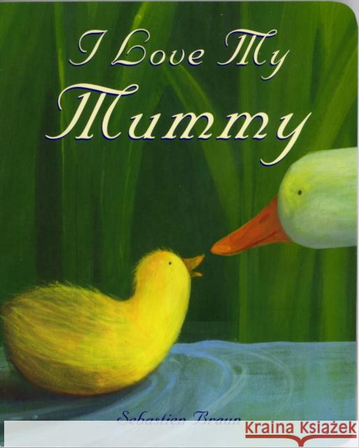 I Love My Mummy Sebastien Braun 9781905417643 Boxer Books Limited - książka