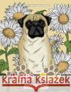 I Love Pugs Coloring Book Lilt Kids Colorin 9781975959654 Createspace Independent Publishing Platform