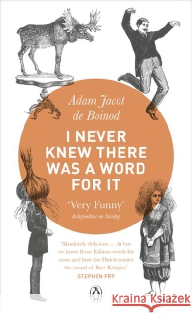 I Never Knew There Was a Word For It Adam Jacot de Boinod 9780141028392  - książka