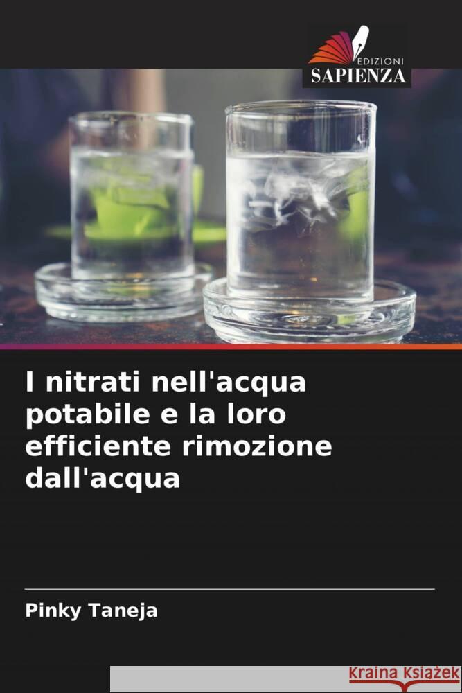 I nitrati nell'acqua potabile e la loro efficiente rimozione dall'acqua Taneja, Pinky 9786205115275 Edizioni Sapienza - książka