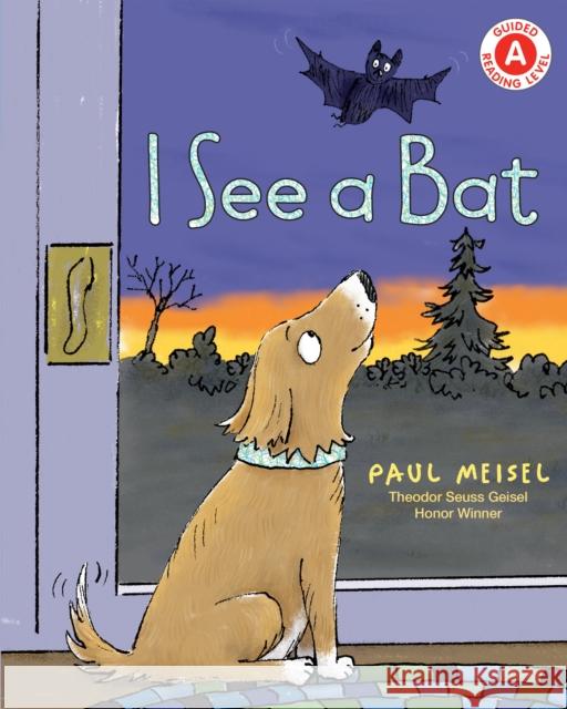 I See a Bat Paul Meisel 9780823456871 Holiday House Inc - książka