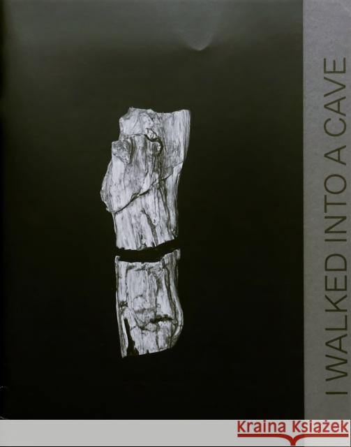 I Walked Into a Cave And Up To Paradajs Peter Granser 9783945900109 Edition Taube - książka