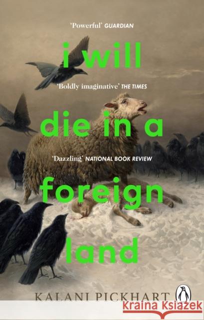 I Will Die in a Foreign Land Kalani Pickhart 9781804991640 Transworld Publishers Ltd - książka