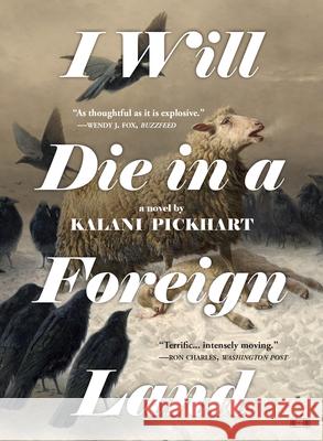 I Will Die in a Foreign Land Kalani Pickhart 9781953387301 Two Dollar Radio - książka