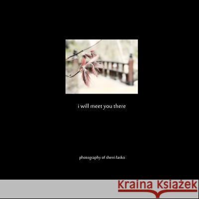 i will meet you there: photography of sherri lasko Lasko, Sherri 9781481103244 Createspace - książka