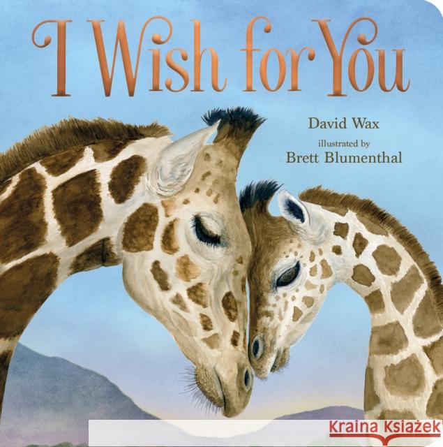 I Wish for You David Wax Brett Blumenthal 9781250293114 Roaring Brook Press - książka