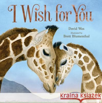 I Wish for You David Wax Brett Blumenthal 9781250822185 Roaring Brook Press - książka