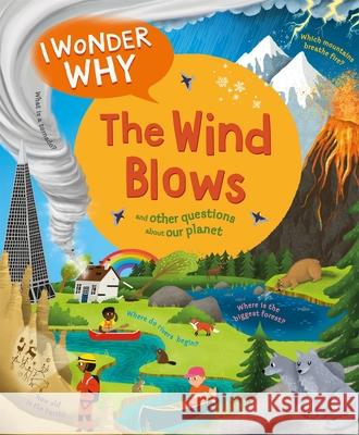 I Wonder Why The Wind Blows Anita Ganeri 9780753448786 Pan Macmillan - książka