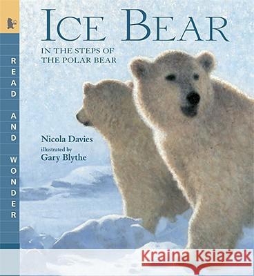 Ice Bear: In the Steps of the Polar Bear Nicola Davies Gary Blythe 9780763641498 Candlewick Press (MA) - książka