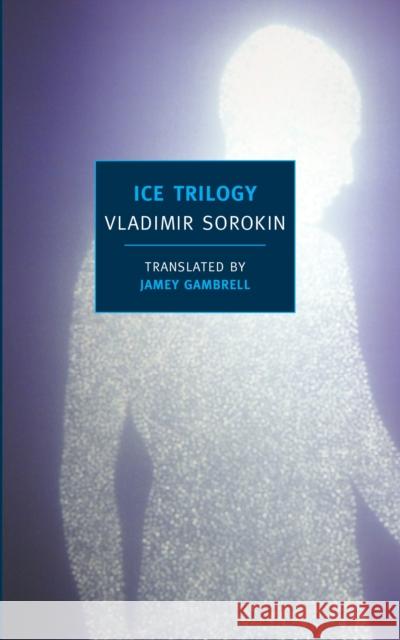 Ice Trilogy Vladimir Sorokin 9781590173862 New York Review Books - książka