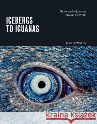 Icebergs to Iguanas: Photographic Journeys Around the World Jason Edwards 9780648818502 Bio Images - książka