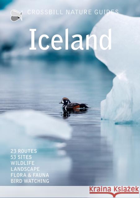 Iceland Dirk Hilbers 9789491648366 Crossbill Guides Foundation - książka